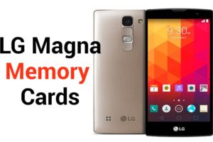 LG Magna Memory Card