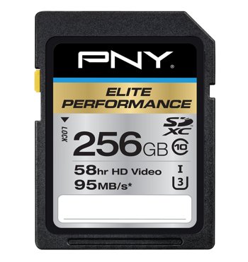 pny-256gb-sdxc