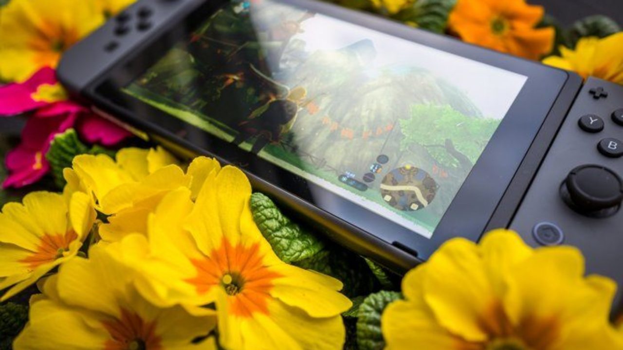 how much memory does switch have